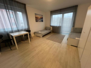 Ferienwohnung Rheinglück